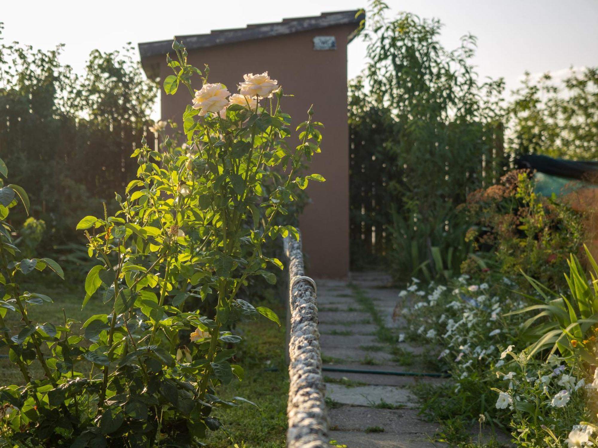 Laguna Nuferilor Habitat Somova Exterior foto